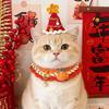 Pet Christmas Bib Drool Towel Adjustable Cat Dog Scarf Knitted Pet Clothes Cats Chinese New Year Costume Cat Accessories