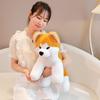 35/45cm Cute Akita Dog Plush Toy Stuffed Animal Soft Hug Plushies Fluffy Comfortable Lovely Dog Doll Birthday Gifts Child Girl