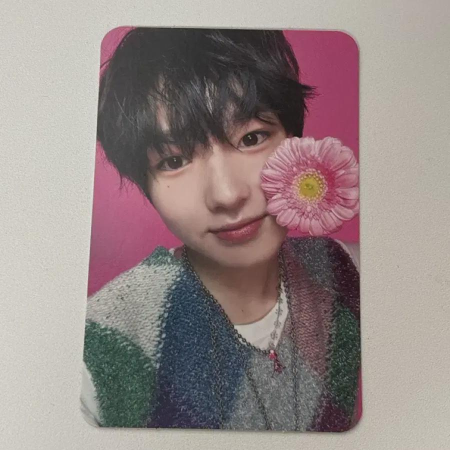 

Nct Wish Songbird Japanese Edition Japanese Edition Japan Album Sakuya Photocard