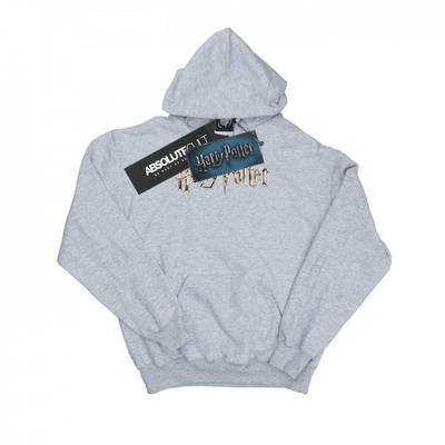 Mens Full Color Logo Hoodie