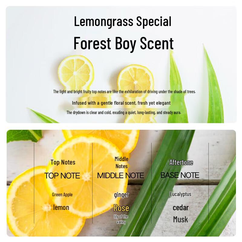 Li Ran Men's Anti-Hair Loss & Oil Control Shampoo