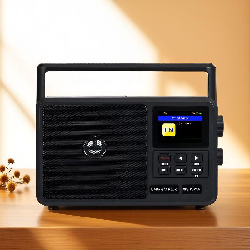 Portable CS-806 Multifunctional DAB FM Network Radio Receiver
