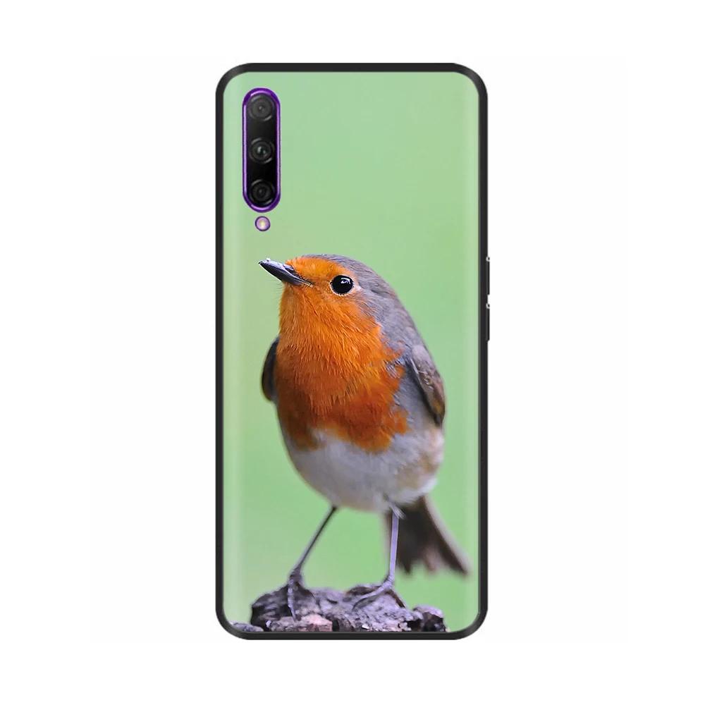 Black Silicone Case For Huawei P Smart Pro Case Cute Soft Cover for Huawei P Smart Pro Fundas PSmart Pro Protective Shell Capas
