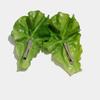 Creative and funny vegetable leaf hair clip with raw vegetable hair clip, funny and broken hair clip with bangs on the side