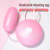 Silent Remote Control Vibrator for Couples – Powerful Vibration for Intense Female Climax