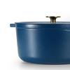 DESLON Multi-purpose Enamel Cast Iron Pot