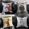 CCurious GGeorge Cartoon Cushion Cover Pillowcase Ultra Soft Skin Friendly Fabric Cloud Like Comfort Concealed Zipper