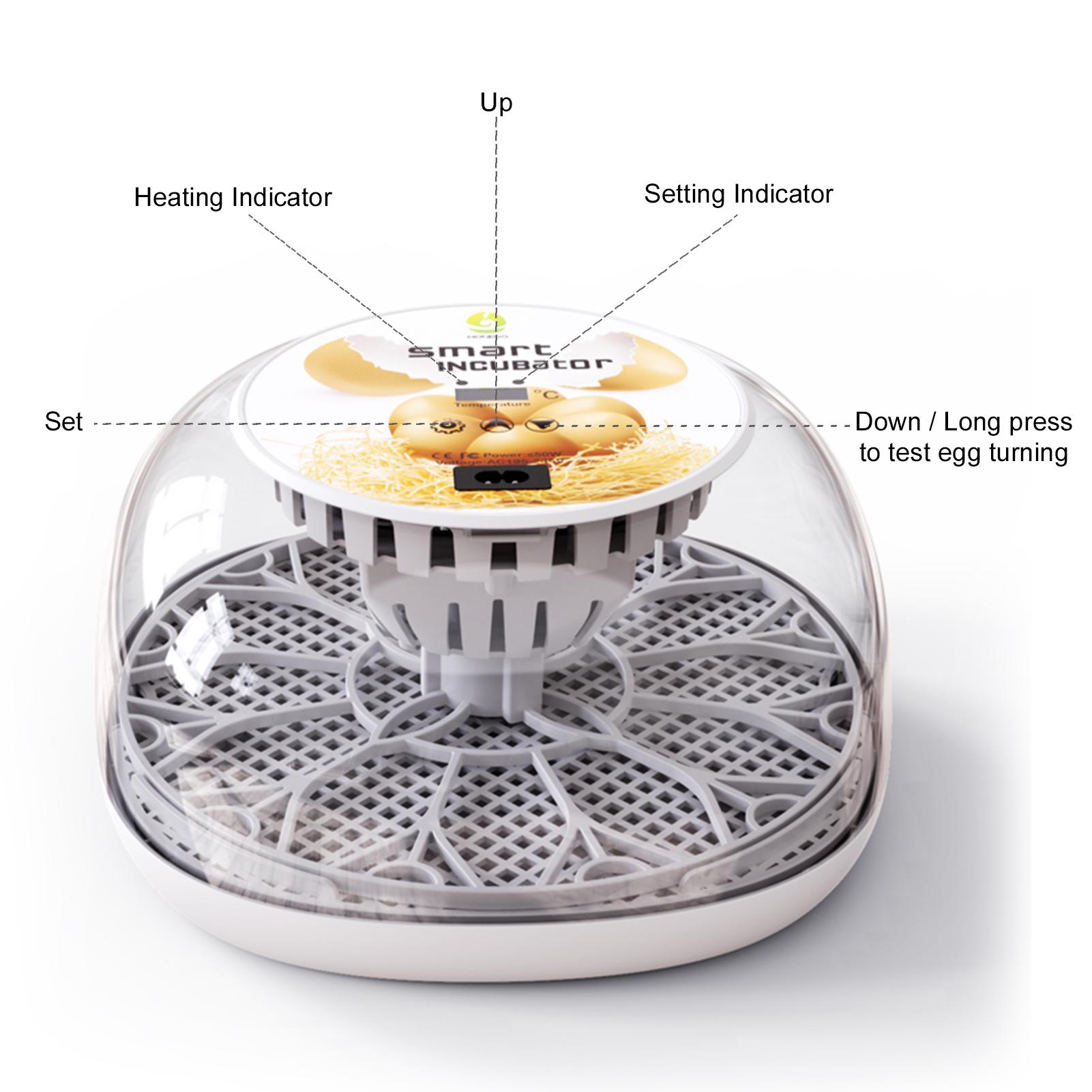 Incubator for Automatic Egg Turning Multifunctional Egg Tray Transparent Cover LED Egg Candling Targeted for Poultry Breeders