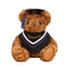 20CM Cute Doctor Bear Plush Toy Soft Graduate Plush Dolls Creative Graduation Bear  Graduate Gift