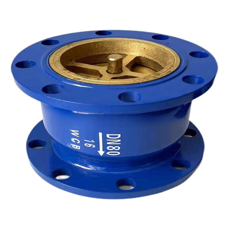 Flange Silencing Check Valve