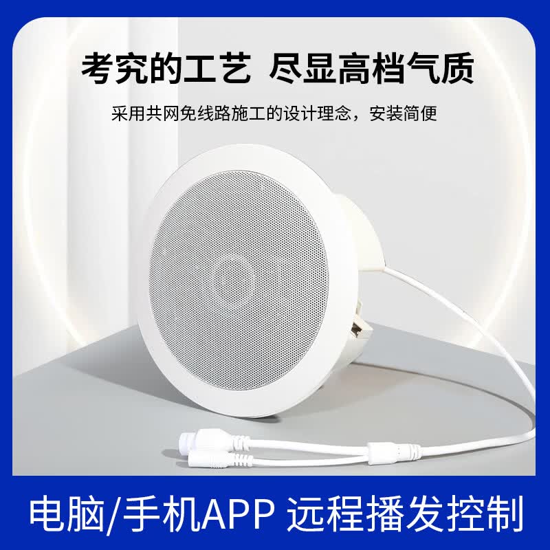 LPUWIP GK-9812A Network Coaxial Ceiling Speaker (CN version)
