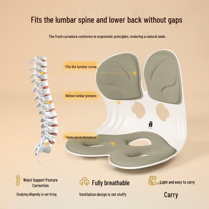 BKT Ergonomic Back Support Seat Cushion