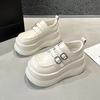 Platform Loafers Women's 2025 Spring New Versatile Small Inner Height Increase Women's Shoes Black British Style Small Leather Shoes