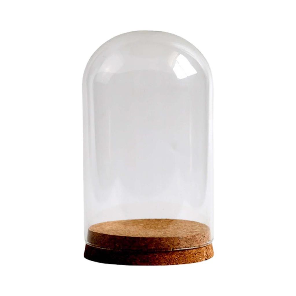 DIY Glass Dome Cloche Holder for Microlandscape and Home Display