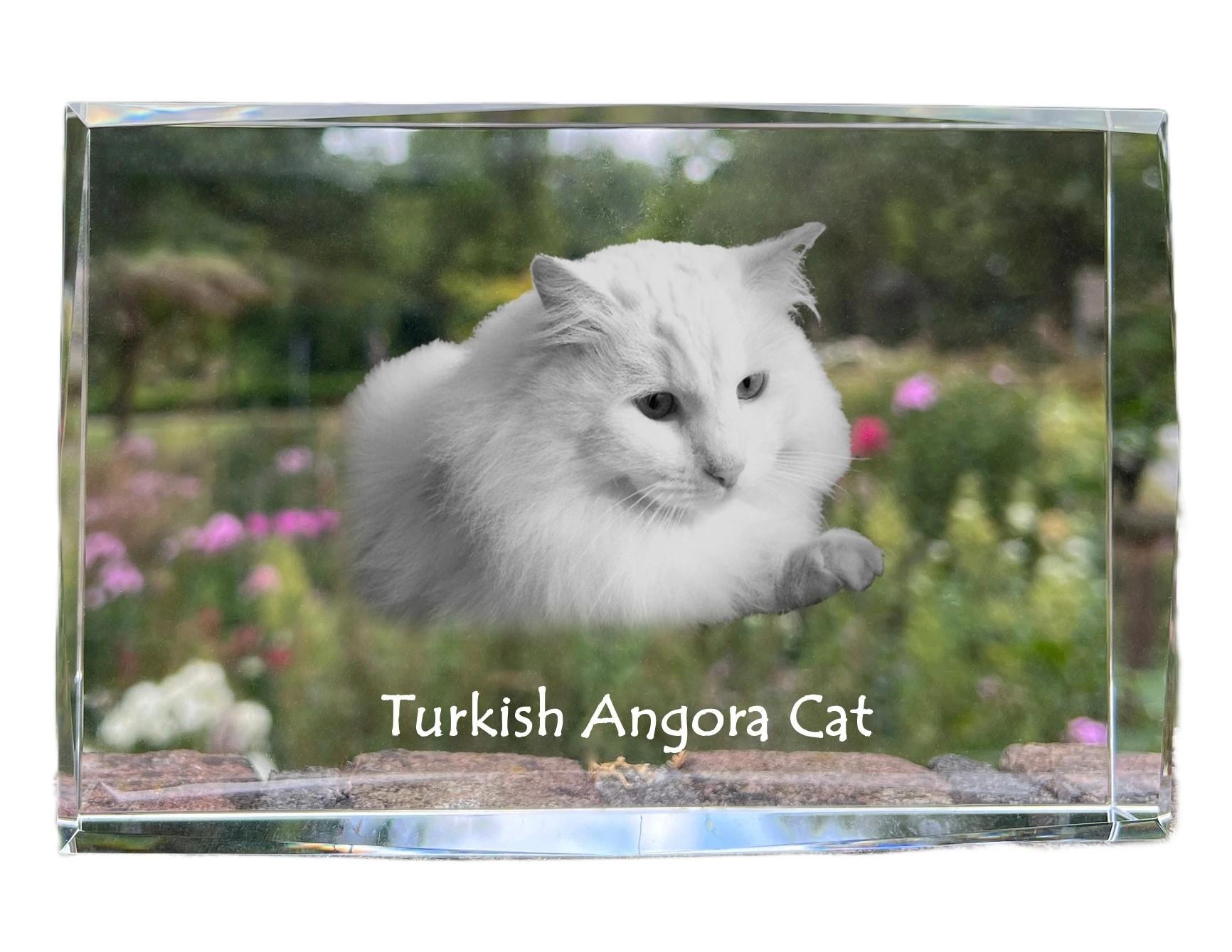 

Turkish Angora - crystal with a picture of a cat, photo in glass, modern exhibition of Art-Dog brand photo прозорий