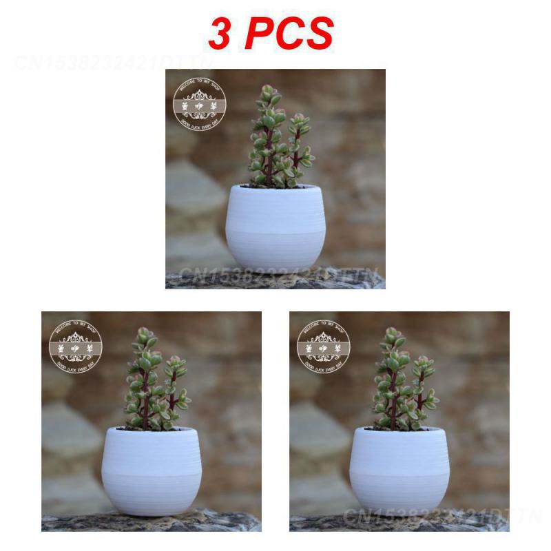 1/2/3PCS Plastic Flowerpot Small Green Plant Flowerpot Plant Desktop Potted Solid Color Mud Holder 2025 Succulent Plant Pot