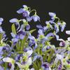 1pcs 50cm Flower Branches  Simulation Flowers Multi-functional Artificial Orchid  Photograph Props