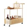 Multifunctional Tiered Kitchen Countertop Spice and Utensil Organizer Shelf