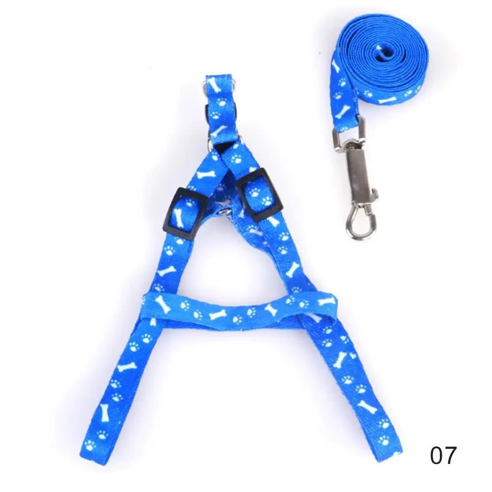 Haustier Hund Katze Geschirr Leine Verstellbares Geschirr Weste Leine Halsband Welpe Kleiner Hund Outdoor Spaziergang Chihuahua Terrier Schnauzer