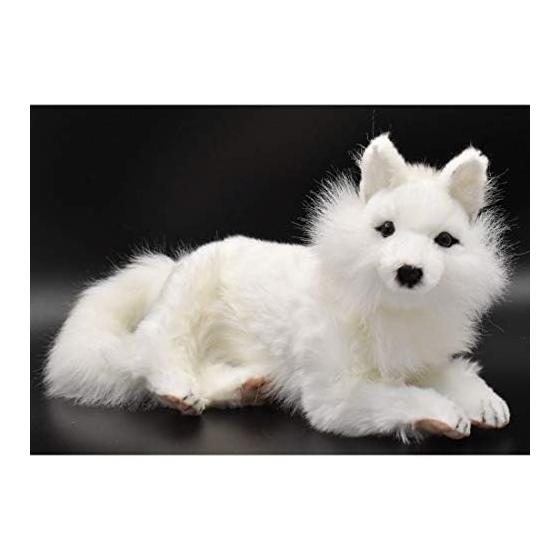 BH6822 HANSA Arctic Fox 40