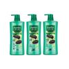 Sunsilk Black & Shiny Nourishing Anti-Dandruff Shampoo