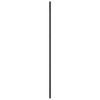 Wall Mirror Black 30x100 cm Rectangular Iron