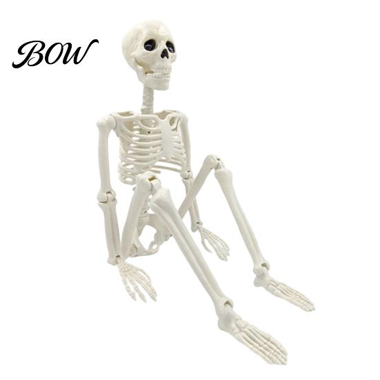 Full Body Skeleton for Party Decorations Halloween Decoration, 3Ft Life Size Human Bone, Realistic Posable Simulation Bone Structure Stage Setup with