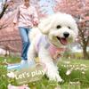 Dog Harness With Cartoon Design For Small Breeds Breathable And Lightweight Pet Accessory