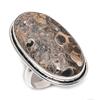 Natural Turritella Fossil 925 Sterling Silver Jewelry Ring Size 7.5 g2W68