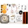 Coil Module Kit Wireless + DIY Kit 240V-DC24V 2-3A