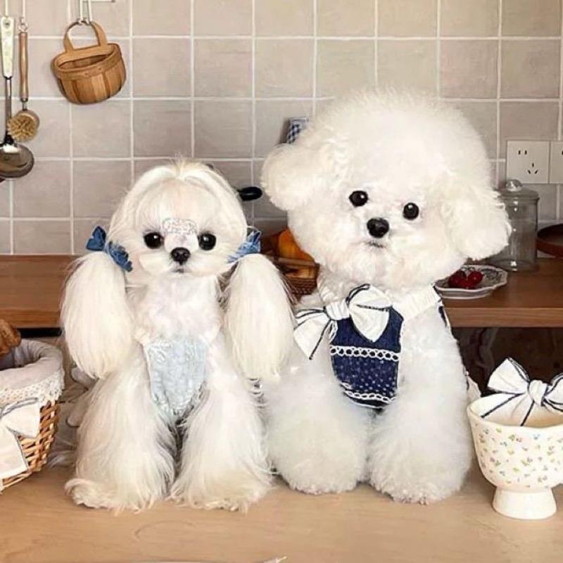 Luxury Bow Pet Dress for Small Dogs Princess Dog Shirt Lace Skirt Summer Puppy Clothes Girls Dog Costume Chihuahua Vest