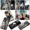 Phone Cover Running Wild Horse Cool Casing for Apple iPhone 17 16 11 Pro XS Max XR 6 7 8 Plus + 16E SE 2020 Air 5 8+ Case