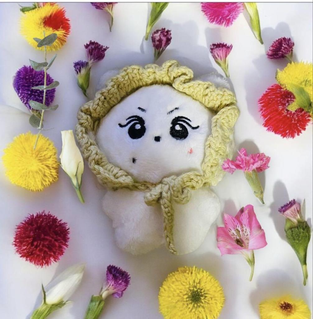 [USED] enhypen jungwon 10cm doll with knitted hat yancomi