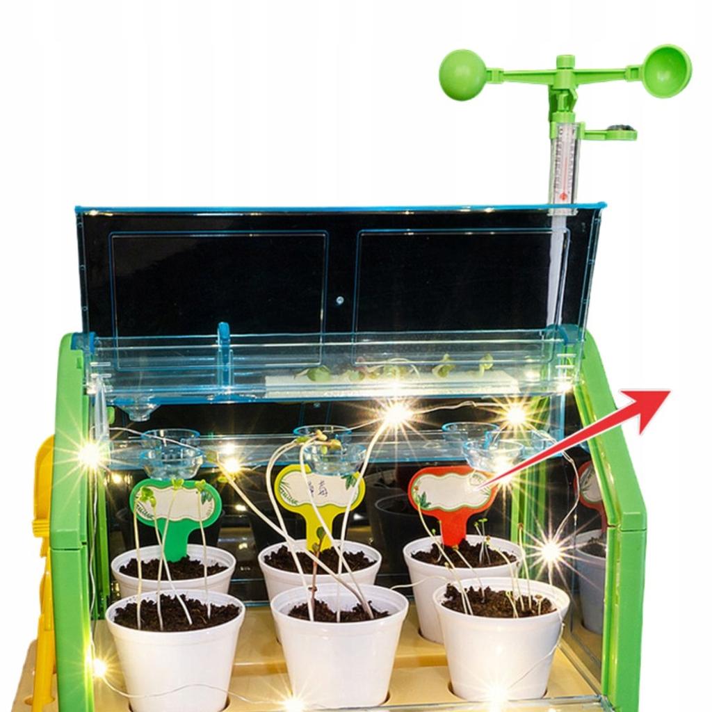 Kit Educativo Serra Sperimentale Mini Giardino Fiori Veri da Coltivare