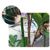 45/60cm garden plant climbing bracket anti-rust plant support cage support ring plant pile potted flower plant cage trellis pile