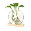Wooden Stand Hydroponic Plants Container Transparent Glass Plants Glass Vase  Weddings