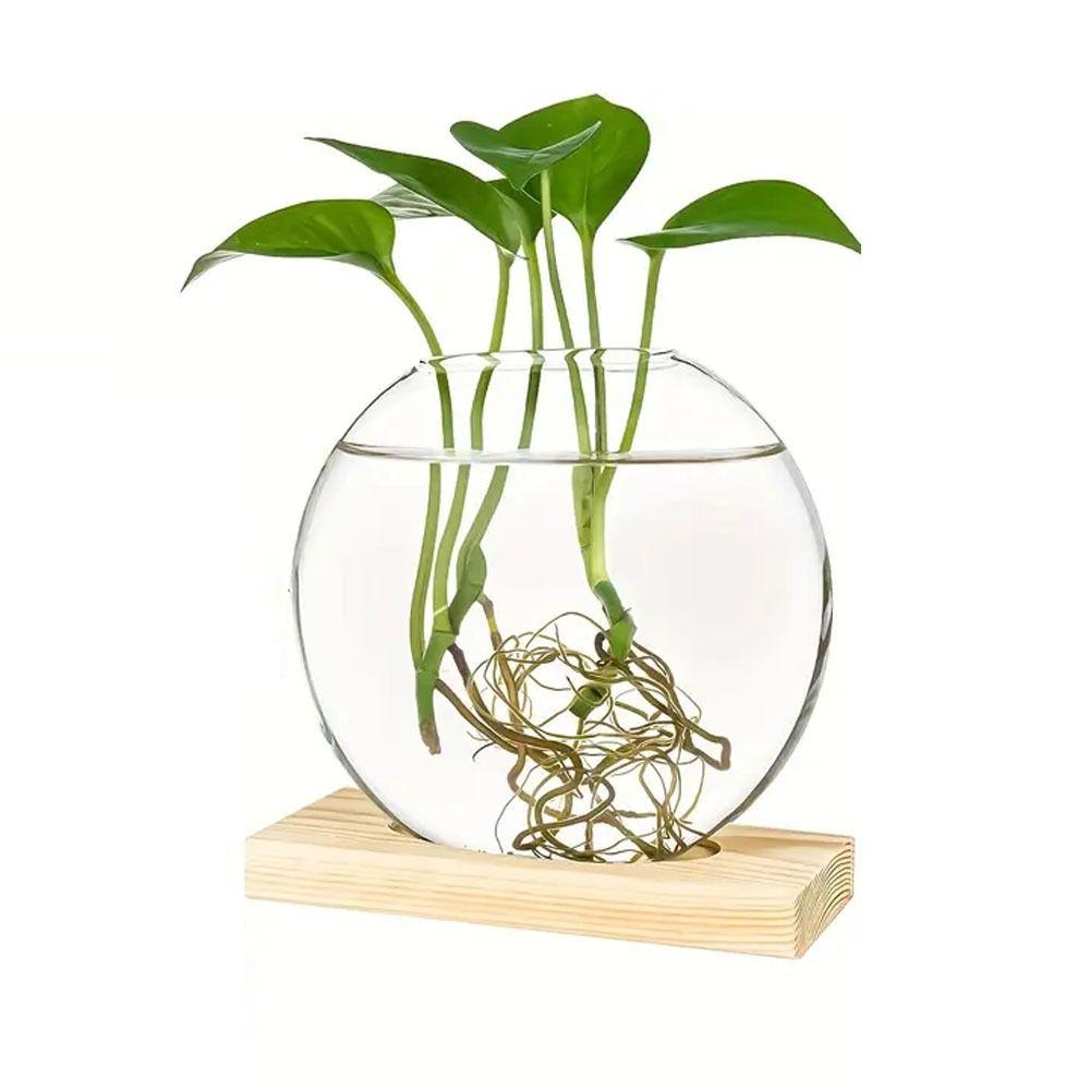 Wooden Stand Hydroponic Plants Container Transparent Glass Plants Glass Vase  Weddings