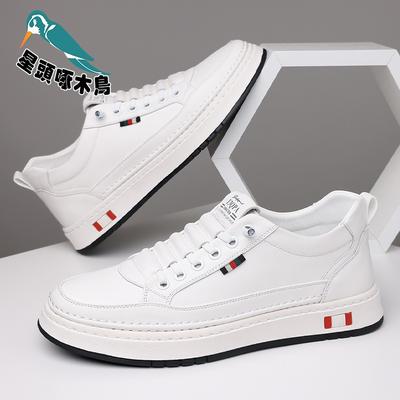 Scarpe da uomo – Sneakers