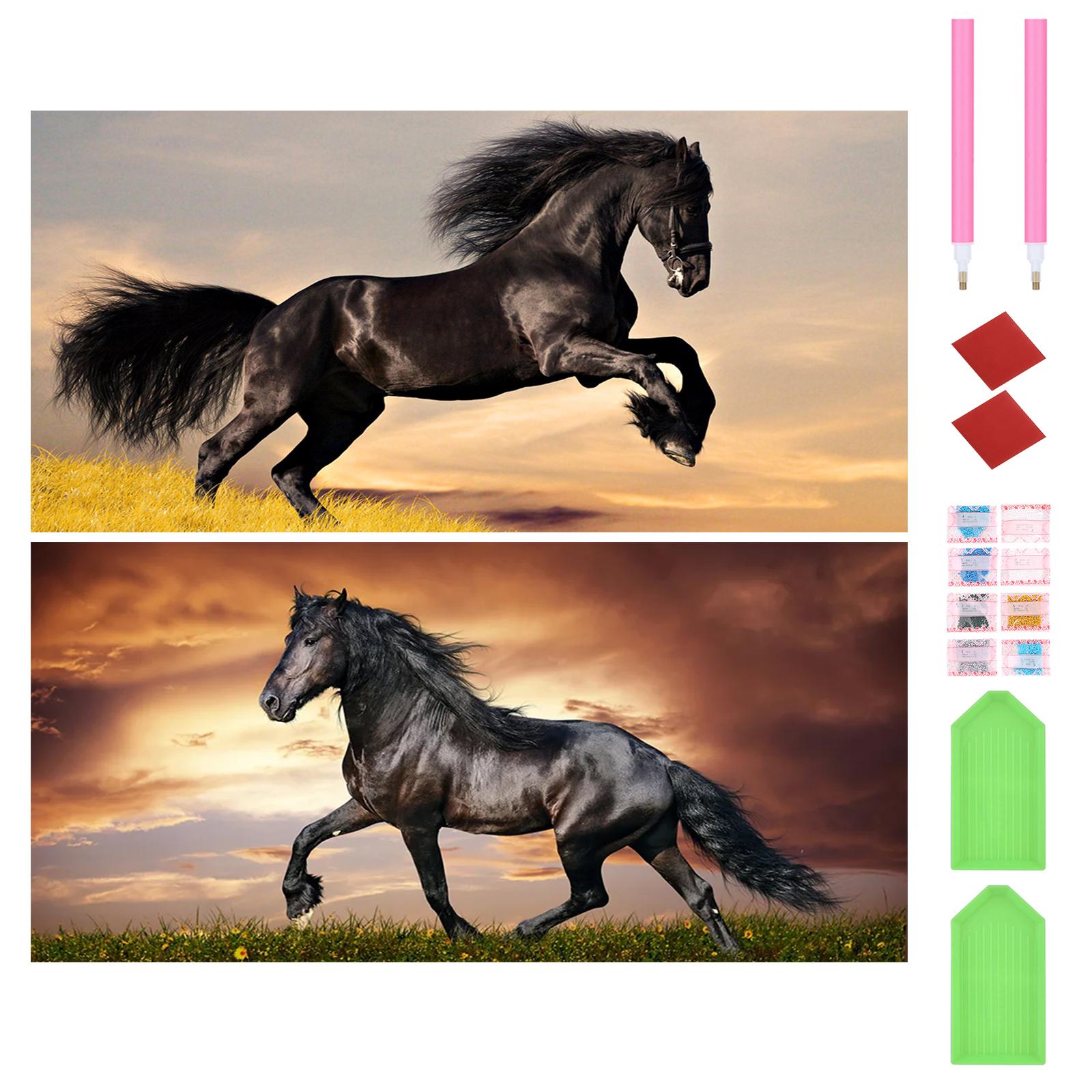 

Galloping Horse 5D DIY Diamond Art Painting Kits for Home Wall Decor Full Round Dimond Paintings with Partial AB Drill 45x1cm China Mainland