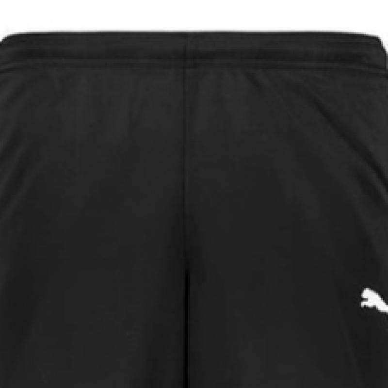 Puma Galleria Puma Team RiSe ASian Fit Men S Training trouSerS