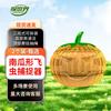 TANSHIJIE Hanging Pumpkin Lantern Insect Trap (2-Pack)