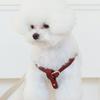 MAISON DE MIU Running Mate Harness_Wine