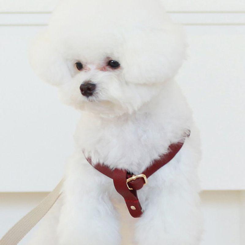 MAISON DE MIU Running Mate Harness_Wine
