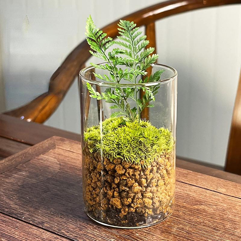 Válcová skleněná hydroponická váza na květiny, svatební dekorace, větruodolný kryt, ekologická skleněná nádrž na lahve