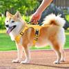 Outdoor Dog Harness With Reflective Material And Adjustable Nylon Strap For Active Pets