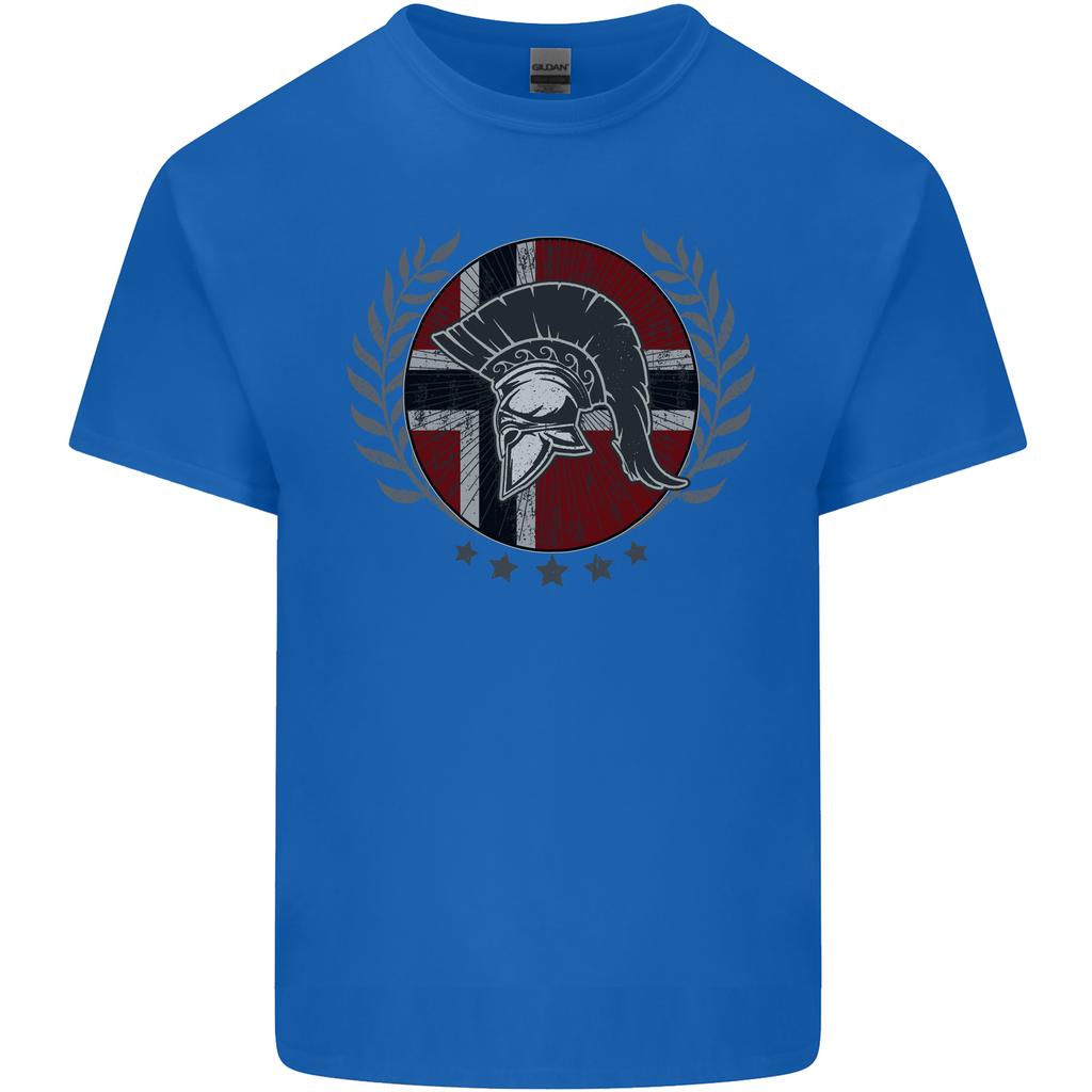 Norway Bodybuilding Flag Gym Training Spartan Unisexs Light Cotton TShirt