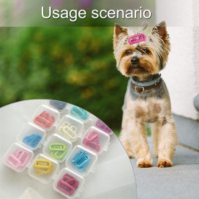 Îmbrăcăminte și încălțăminte – Accesorii pentru câini