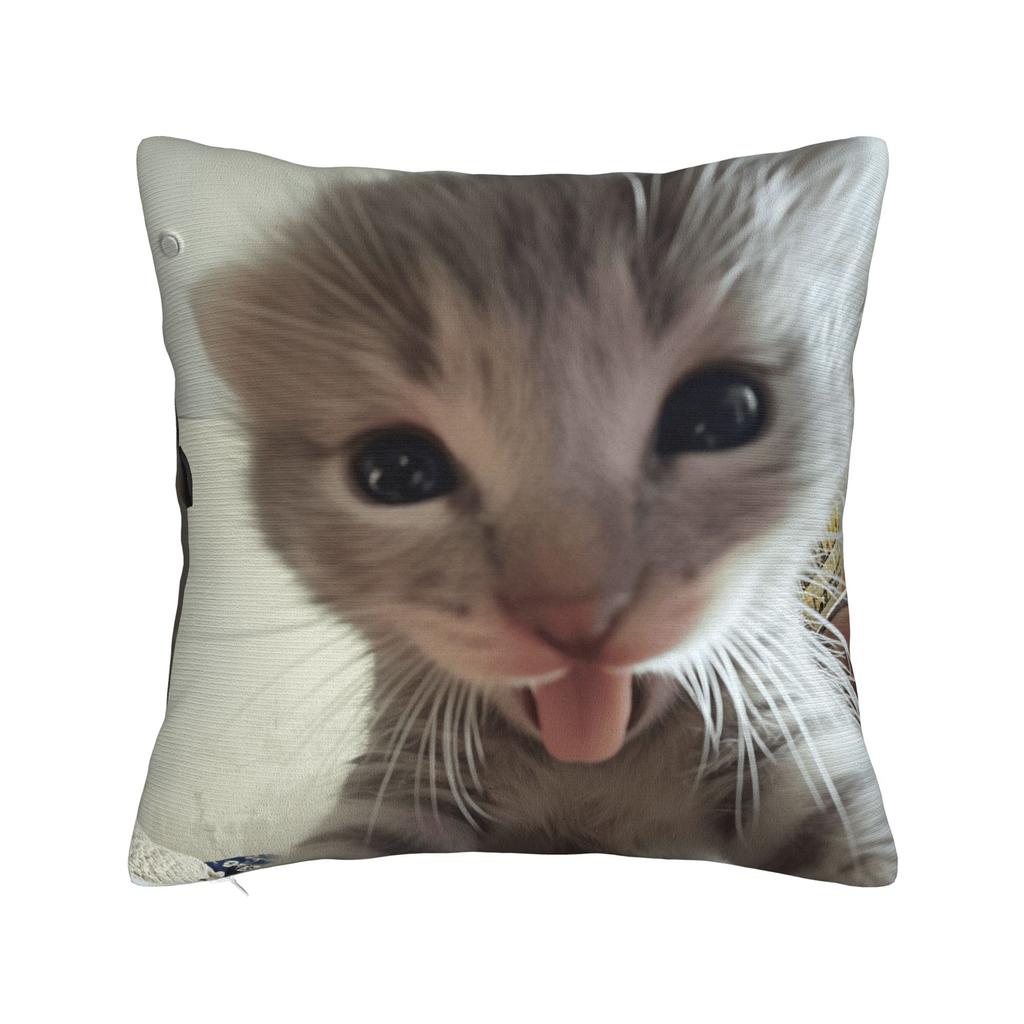Pet Cat Funny memes Pillow Case Retro Trendy Pillow Cover Comfy Pillowcases For Sofa Couch Bed Living Room