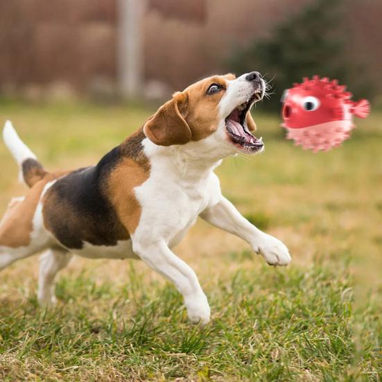 Hundespielzeug Tumbler Undichte Lebensmittel Ball Interaktive Waschbar Cartoon Fisch Form Zähne Reinigung Haustier