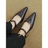 2025 Spring High-end Pointed Mary Jane Metal One-word Buckle Retro Light Mouth Thick Heel Single Shoes Women
